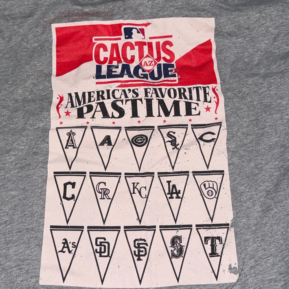 New Era: Cactus League Gray- Size-2XL
